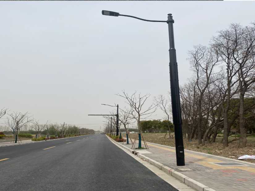 清流县上海综合杆 太阳能路灯工程